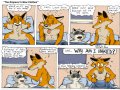 closetcoon08c.jpg